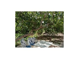 Apartment Zivogosce  5