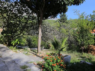 Apartment Zivogosce  8