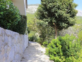 Apartment Zivogosce  9