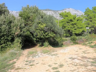 Apartment Zivogosce  12