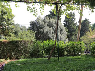 Apartment Zivogosce  37