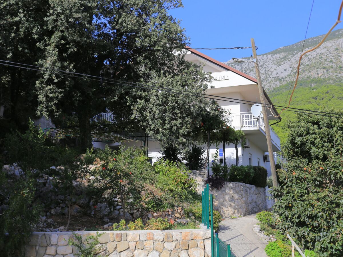 Apartment Zivogosce 2