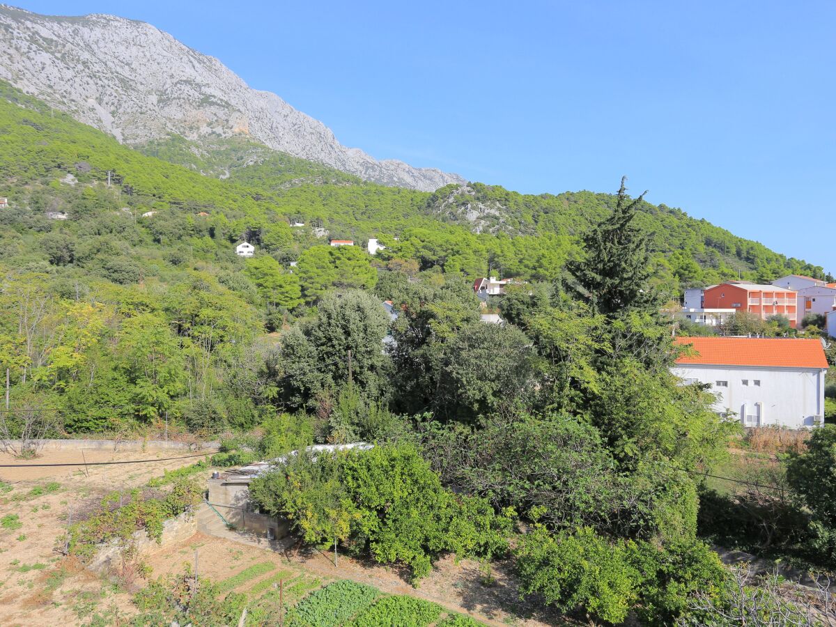 Apartment Zivogosce 25