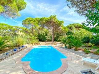 Pool at the holidayhome in Les Issambres