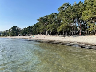 Ferienhaus Hällevik  15