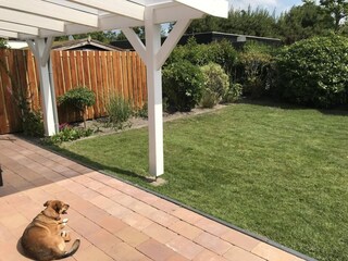 Ferienhaus Sint Maartenszee Außenaufnahme 5