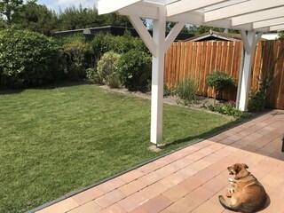 Casa de vacaciones Sint Maartenszee Grabación al aire libre 6