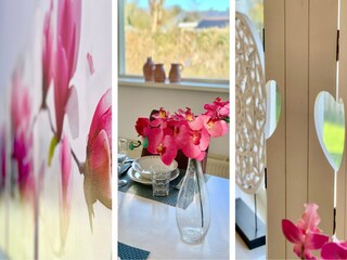 Holiday house Sint Maartenszee  31