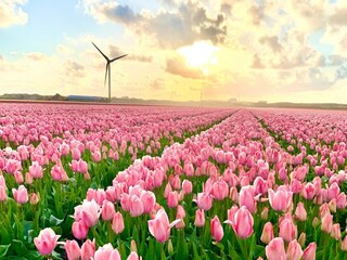 Vakantiehuis Sint Maartenszee Omgeving 21