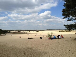 Parc de vacances Udenhout Environnement 19