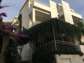 Apartment Drasnice  1