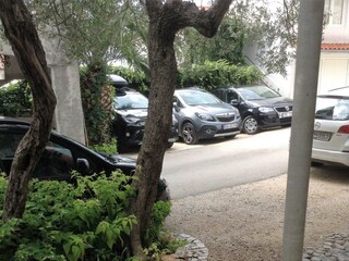 Apartment Drasnice  13