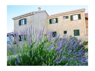 Apartment Razanac  4