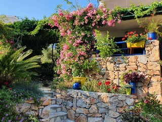 Apartment Murter (Stadt)  5