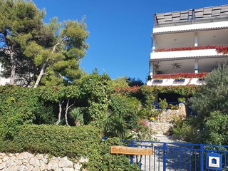 Apartment Murter (Stadt)  2