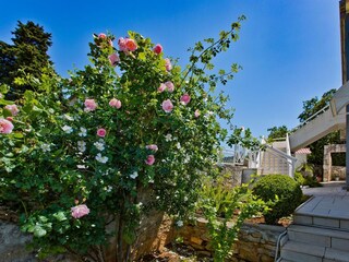 Apartment Hvar (Stadt)  6