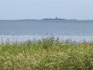 Blick auf die Insel Neuwerk