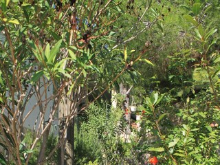 Apartment Vis (Stadt)  8