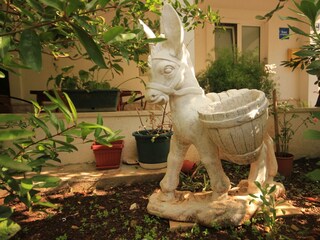 Apartment Vis (Stadt)  8