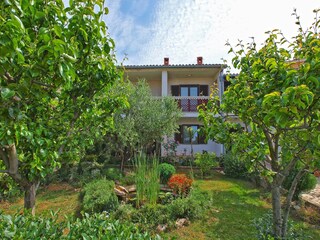 Apartment Valbandon  2