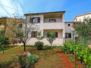 Apartment Valbandon  4