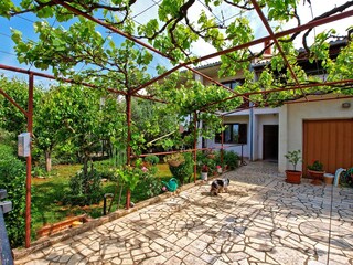 Apartment Valbandon  8