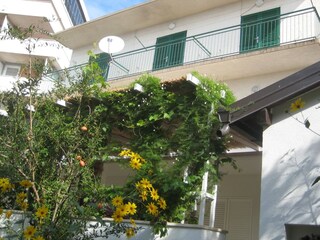 Apartment Podgora  2