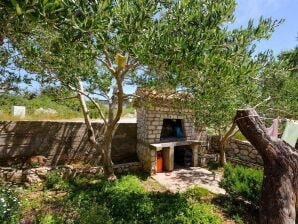 Two bedroom apartment with terrace Novalja, Pag A-23663-b