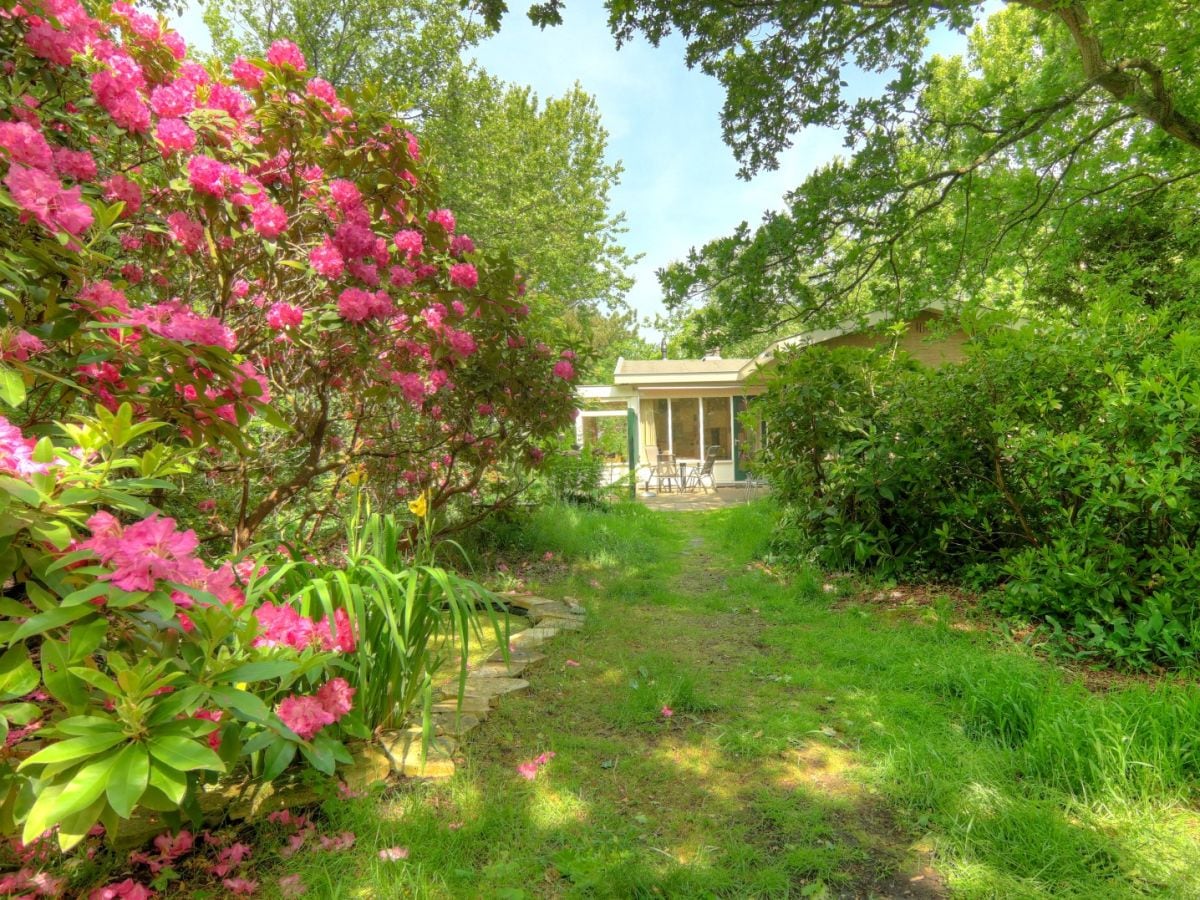 Bungaló De Koog Grabación al aire libre 1