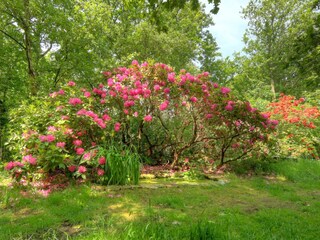Bungalow De Koog Registrazione all'aperto 3
