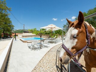 Ferienhaus Cetina  3