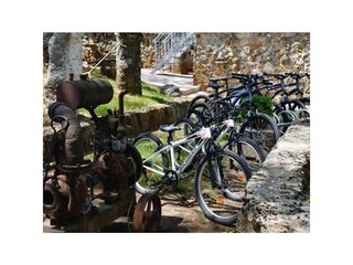 Holiday house Cetina  18