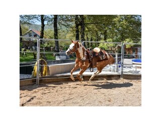 Holiday house Cetina  19