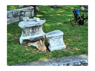 Holiday house Cetina  22