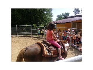 Holiday house Cetina  26