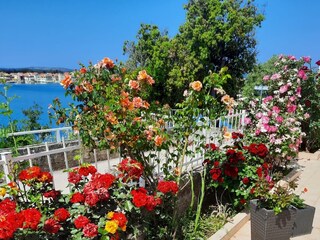 Apartment Brodarica  10