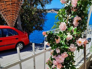 Apartment Brodarica  14