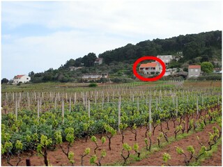 Apartment Lumbarda  3