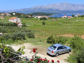 Apartment Lumbarda  13