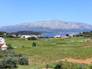 Apartment Lumbarda  32