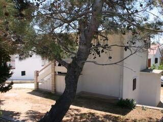 Apartment Stara Novalja  4