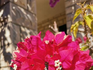 Apartment Vinisce  20