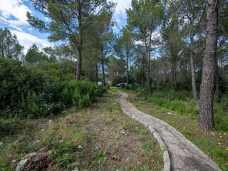 Holiday house Sali  14