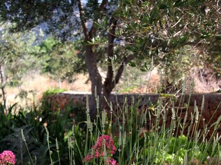 Apartment Banjol  10