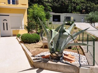 Apartment Supetarska Draga  4