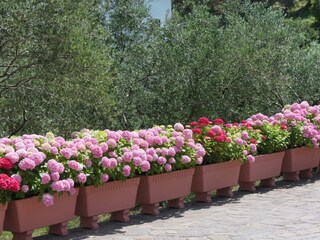 Holiday room Supetarska Draga  11