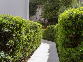 Apartment Dubrovnik  13