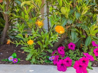 Apartment Dubrovnik  16