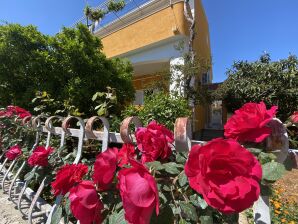 Two bedroom apartment with terrace Orebić, Pelješac A-4527-a