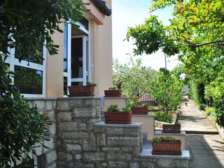 Apartment Ugljan (Ort)  11